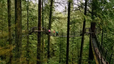 Vancouver Winter Wonders: From City Lights to Northern Nights